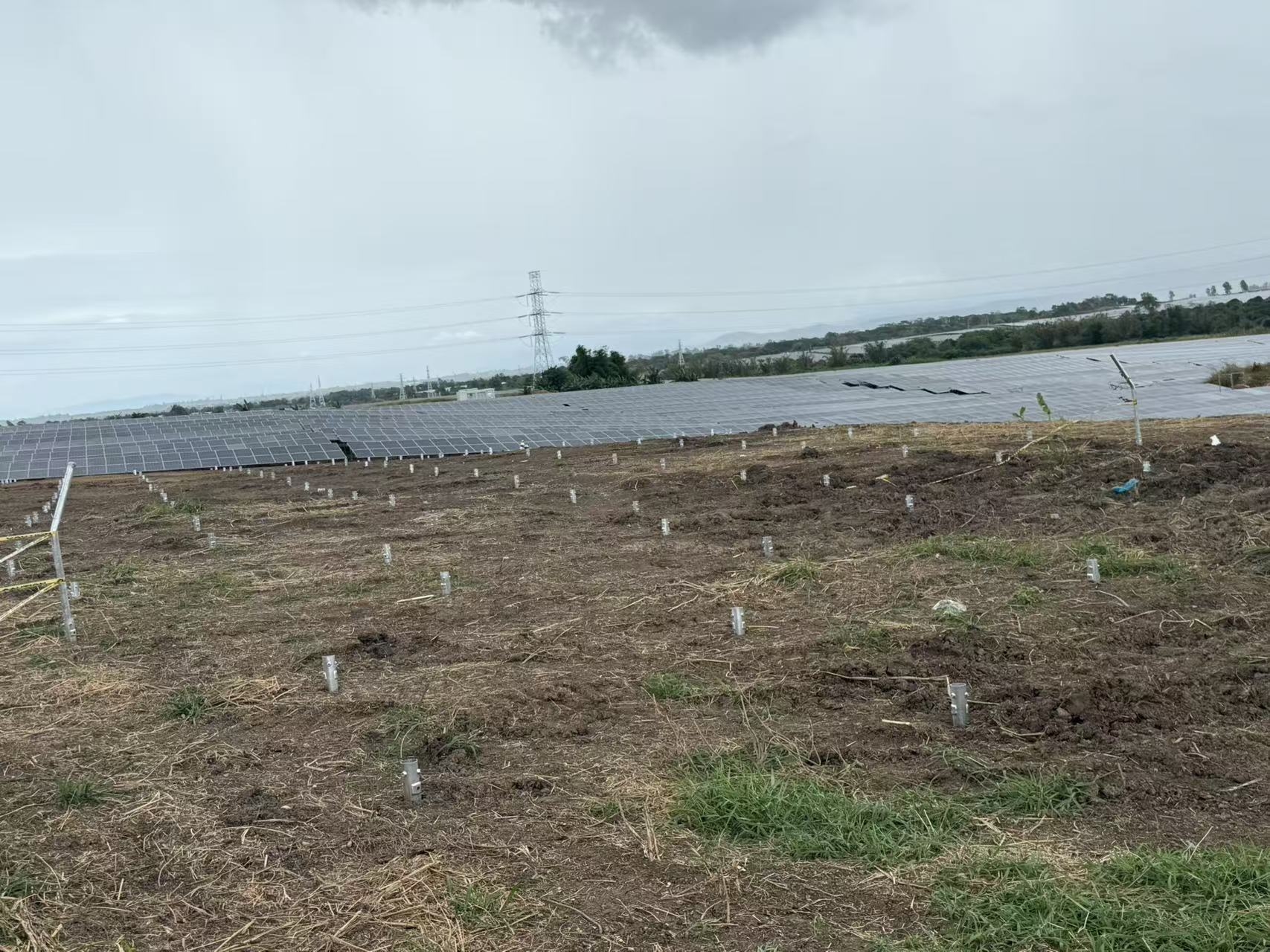 Solar Project